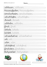 SAS Schönschreiben a bis b 2-3.pdf